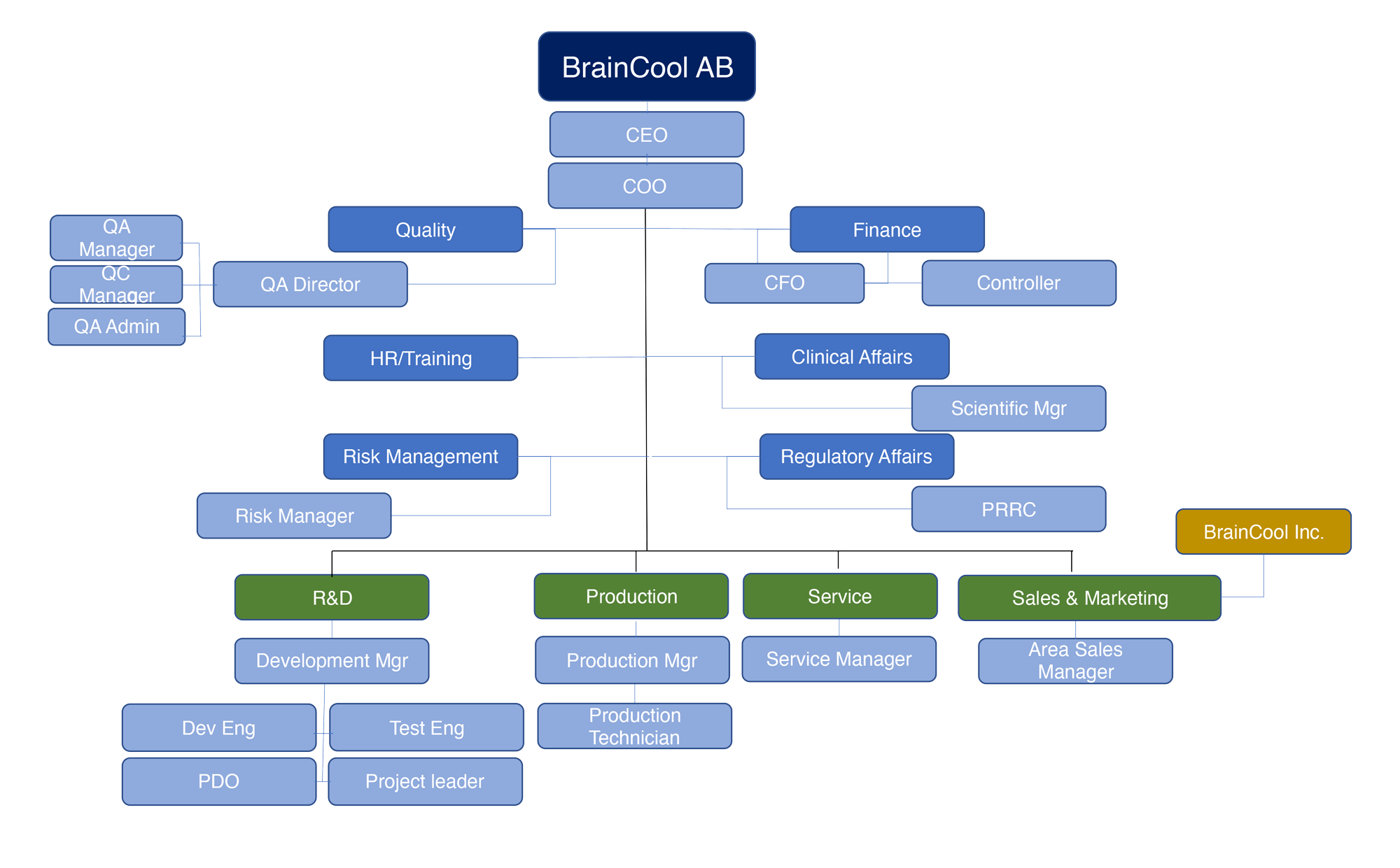 Braincool organization map